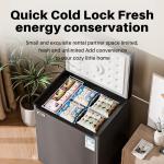 Compact 3.0 CU.FT Chest Freezer with 7 Settings