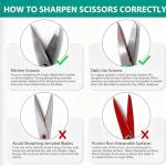 4-in-1 Electric Knife Sharpener for All Blades