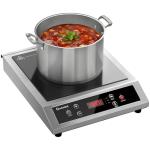 Stainless Steel Portable Induction Cooktop with Timer
