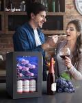 Icyglee Compact Beverage Refrigerator for Home and Bar