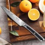 eChef 5-Inch VG-10 Damascus Paring Knife