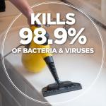 Wagner 505e Handheld Steam Cleaner with 11 Attachments