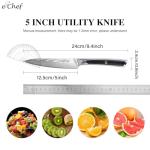 eChef 5-Inch VG-10 Damascus Paring Knife