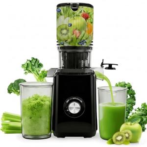 Deluxe Slow Masticating Juicer for Whole Fruits