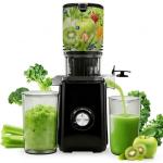 Deluxe Slow Masticating Juicer for Whole Fruits