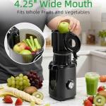 Deluxe Slow Masticating Juicer for Whole Fruits