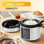 HealSmart 20-Cup Non-Stick Stainless Steel Rice Cooker