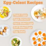 Veroline Electric Egg Cooker with 12 Egg Capacity