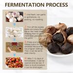 6L Automatic Black Garlic Fermenter with Shelf