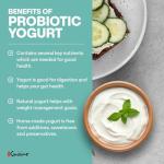 Euro Cuisine Yogurt Maker with Adjustable Controls