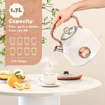 Retro 1.7L Electric Kettle with Temperature Gauge