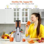High-Performance Cold Press Juicer for Whole Fruits