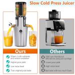 High-Performance Cold Press Juicer for Whole Fruits