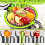 Quiet Cold Press Juicer with Large Feed Chute