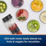 Oster MyBlend Plus Portable 20-Oz Personal Blender