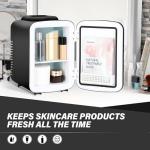 YSSOA 4L Mini Fridge Cooler and Warmer