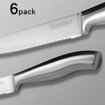 6-Piece High Carbon Stainless Steel Steak Knife Set