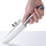 6-Piece High Carbon Stainless Steel Steak Knife Set