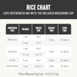 GreenLife 2-Cup Digital Rice Cooker, Nonstick Pot