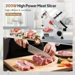 ROVSUN 10-Inch Electric Meat Slicer with Adjustable Thickness