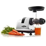 Omega Cold Press Juicer for Fruits and Veggies