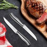 6-Piece High Carbon Stainless Steel Steak Knife Set