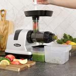 Omega Cold Press Juicer for Fruits and Veggies