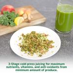 Omega Cold Press Juicer for Fruits and Veggies