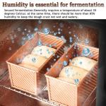 220V Bread Fermentation Cabinet - 40L Temperature & Humidity Control Machine for Yogurt, Dough & Bread Rising - Ideal Household Fermentation Appliance