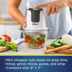 Oster 3-Cup Mini Food Chopper with Glass Bowl