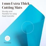 4 Piece Color Coded Cutting Boards Set