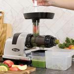 Omega Cold Press Juicer for Fruits and Veggies