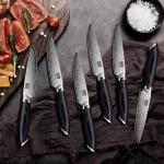 SHAN ZU Steak Knives Set of 6, Ultra Sharp 4.5 Inch High Hardness Powder Steel Steak Knife Set, Serrated Steak Knives with Ergonomic Pakkawood Handle Japanese Knives for Steak, Bread and Butter