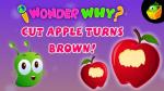 I Wonder Why? Cut Apple Turns Brown!