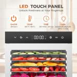 OLIXIS Food Dehydrator Machine, 500W Jerky Dehydrators with 8 Stainless Steel Large Trays, 185°F Temperature Control & 24H Timer Food Dryer for Fruit Meat Herb Dog Treats, Silver