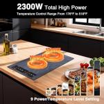 Nafewin Double Induction Cooktop Portable Electric Cooktop 12 Inch, 110V Induction Burner Hot Plate with Safety Lock, Auto Shutoff Timer Setting, 9 Heating Level and Overheating Protection