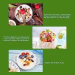 DIY Yogurt Maker Machine Compact Yogurt Maker Machine Family Kitchen Stainless Steel Container (US Plug 110V)