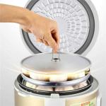 Automatic Black Garlic Fermenter and Cooker