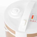 Automatic Black Garlic Fermenter and Cooker