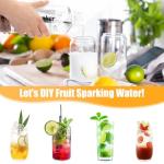 1L Portable Soda Siphon for Sparkling Water