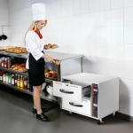 VEVOR Stainless Steel Two-Drawer Food Warmer