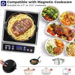 OSTBA 1800W Commercial Induction Cooktop Burner
