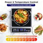 OSTBA 1800W Commercial Induction Cooktop Burner