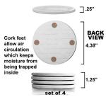 Mixed Shell Drink Coasters - Set of 4