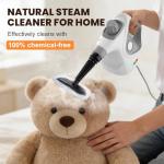 Portable Handheld Steam Cleaner with 15 Accessories