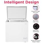 Frigidaire 7 Cu. Ft. Stainless Steel Deep Freezer