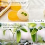 40L Electric Dough Proofer with Humidity Control