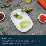 KITCHENDAO 3 in 1 Porcelain Ginger Grater Tool Spoon Rest Herb Stripper, 6.5 x 4.3 inches for Kitchen, Japanese Ceramic Garlic Grinding Wasabi Grater Plate Dish for Daikon Radish & Parmesan Cheese