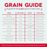 Dash Mini Rice Cooker Machine