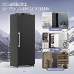 BEYOU 19 Cu. ft. Upright Commercial Freezer